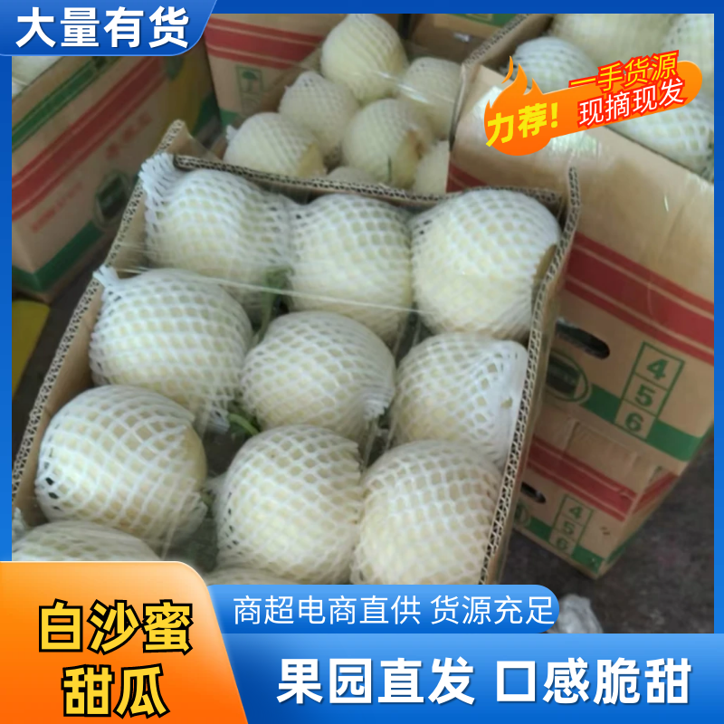 小白瓜大量有货对接全国市场电商平台，一手货源欢迎合作