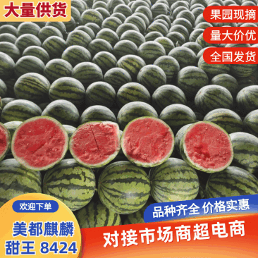 【精品头茬】美都西瓜/麒麟西瓜/麒麟美都/无籽西瓜甜度高