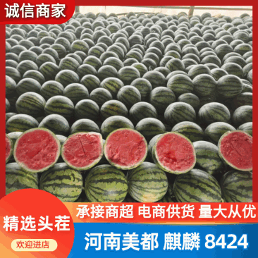 【优选】万亩美都西瓜/无籽西瓜/无籽美都/精品无籽西瓜