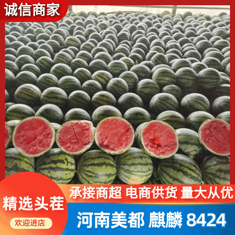 【优选】万亩美都西瓜/无籽西瓜/无籽美都/精品无籽西瓜