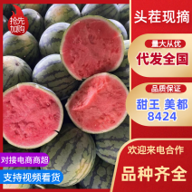 【推荐】万亩美都西瓜基地对接各大电商商超社区团购等