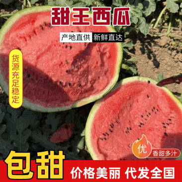 陕西大棚甜王西瓜，现采现摘现发皮薄多汁，耐运输。皮毛靚！