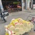 广东肇庆韭黄批发价新鲜上市，视频看货欢迎致电