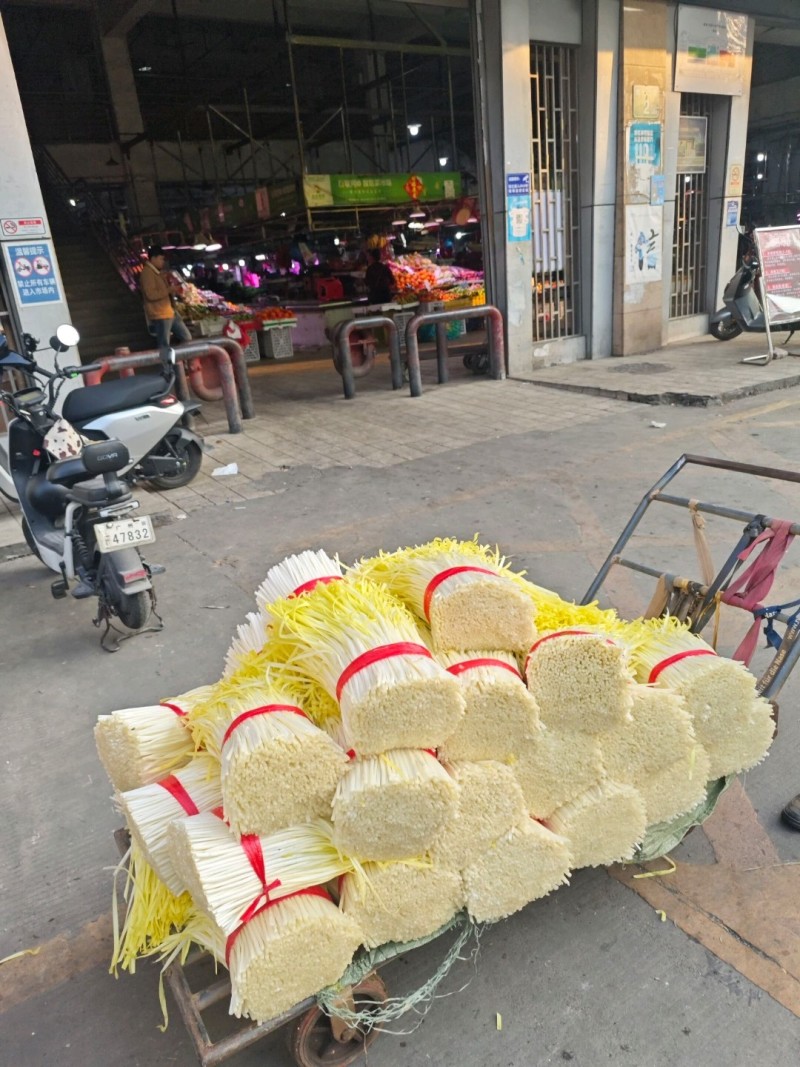 广东肇庆韭黄批发价新鲜上市，视频看货欢迎致电