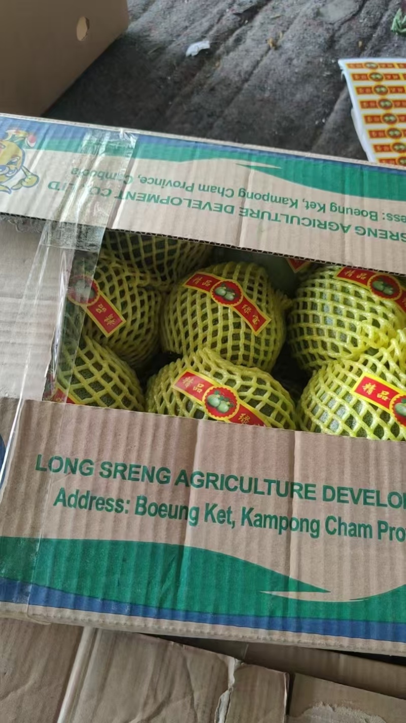 绿宝甜瓜，大量有货，对接全国市场，电商平台欢迎新老客户合作