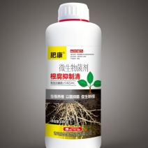青岛肥佬肥康根腐抑制清微生物菌剂
