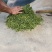 农户直销精品生态普洱茶