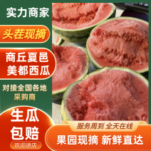 夏邑美都西瓜大量供应2万斤起批，一手货源，大量走货