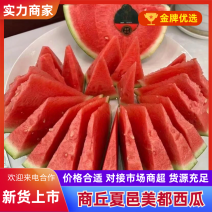 精品美都西瓜大量上市1万斤起批，生瓜包赔，大量走货