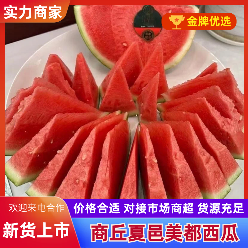 精品美都西瓜大量上市1万斤起批，生瓜包赔，大量走货