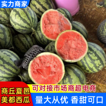 夏邑美都西瓜大量上市一手货源欢迎老板来电支持代办代