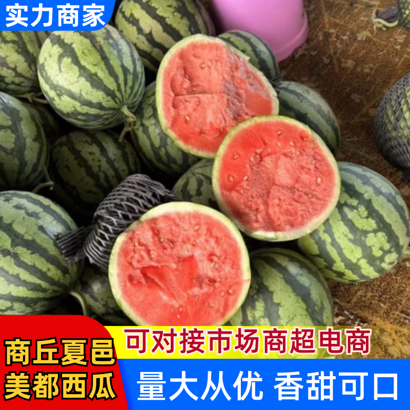 夏邑美都西瓜大量上市一手货源欢迎老板来电支持代办代