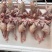 乳鸽白条鸽老鸽子鸽肉新鲜工厂发货保证质量常年供应