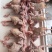 乳鸽白条鸽老鸽子鸽肉新鲜工厂发货保证质量常年供应