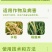50%甲基硫菌灵甲托甲基托布津叶斑病疮痂病黑斑病