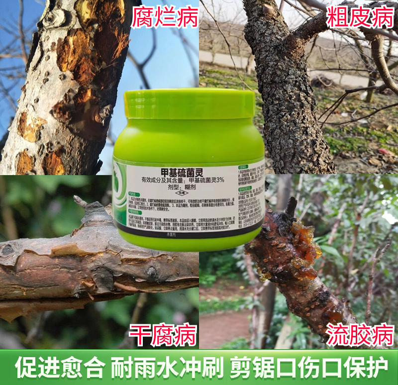 3%甲基硫菌灵植物伤口愈合剂修复伤口