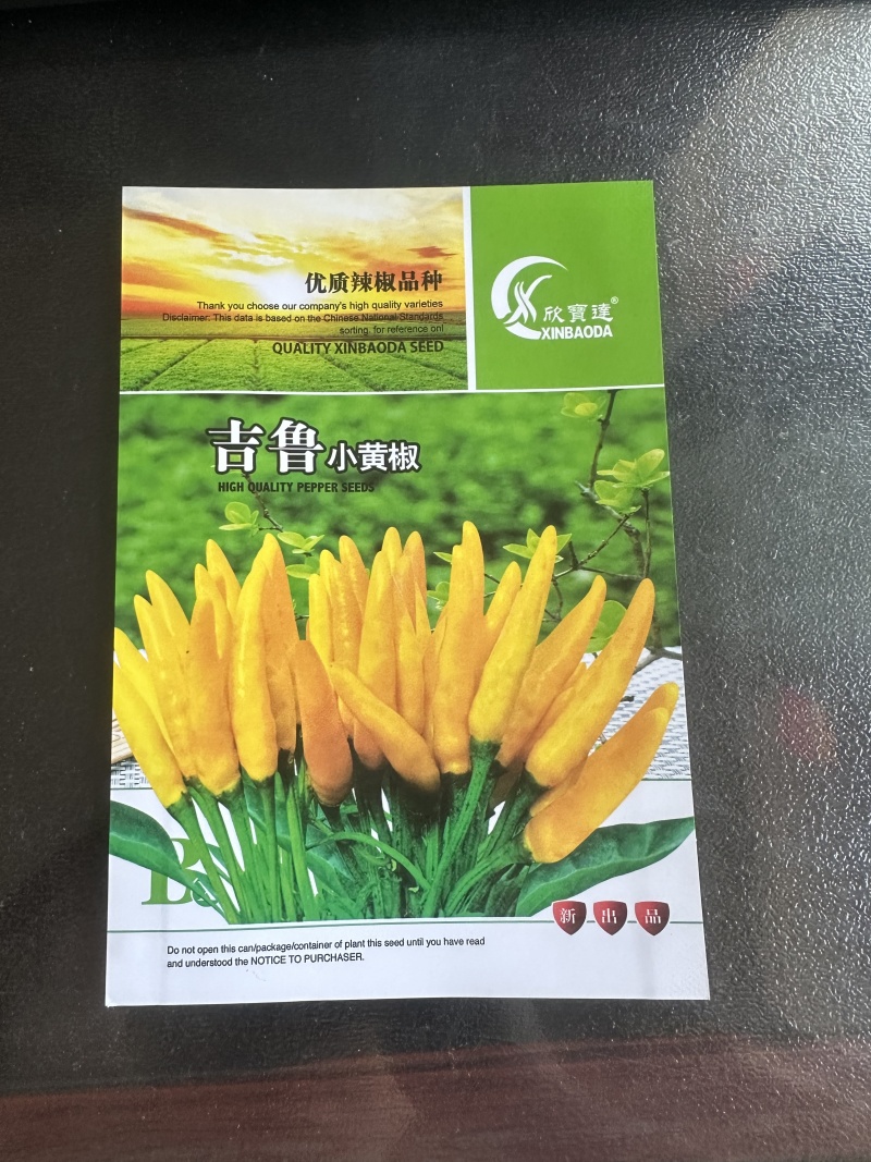 吉鲁小黄椒辣椒种子抗病抗重茬可连续坐果产量高易种植好管理