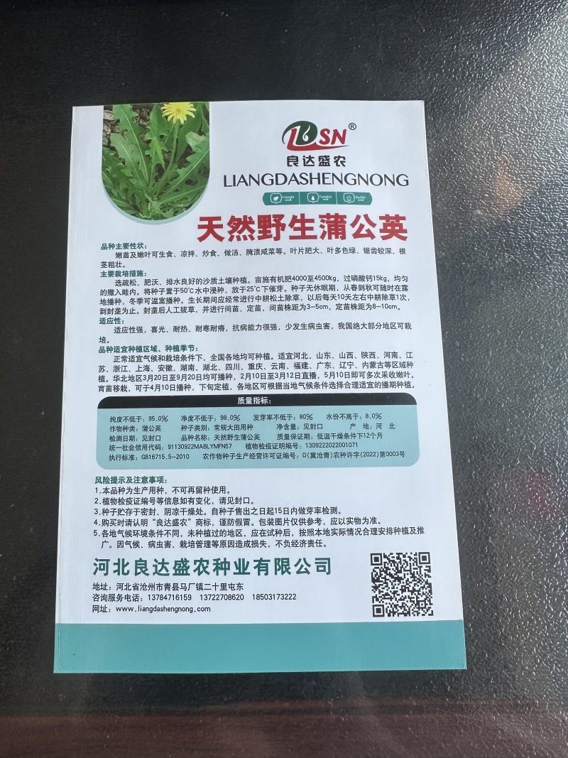 天然野生蒲公英种子营养丰富无公害蔬菜耐寒性强适应性广泛
