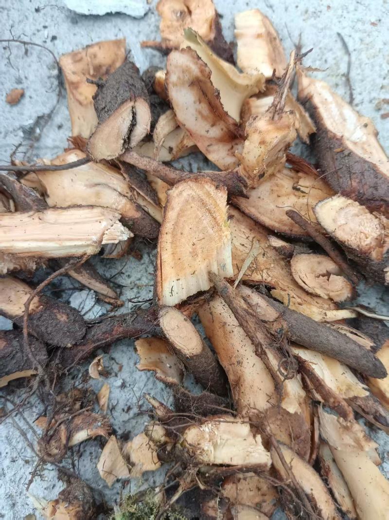 贵州野生水麻保质保量诚信经营欢迎电话联系