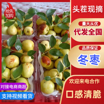 冬枣大荔冬枣鲜枣大量上市中口感脆甜对接电商市场等