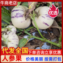 人参果/云南人参果-大中小果-全国发货包熟包甜