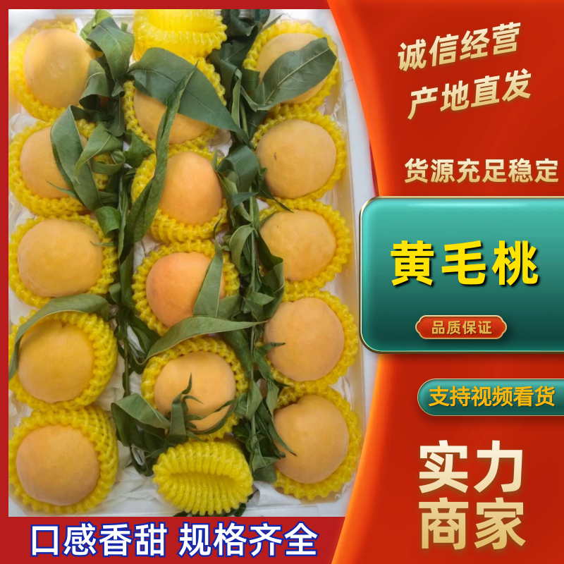 【实力货源】黄金蜜四号桃视频看货产地直发现货量大价优