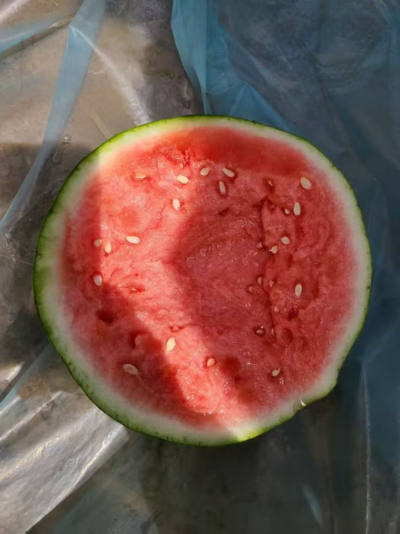 美都西瓜麒麟西瓜，皮毛漂亮，皮薄肉脆甜、大量有货！