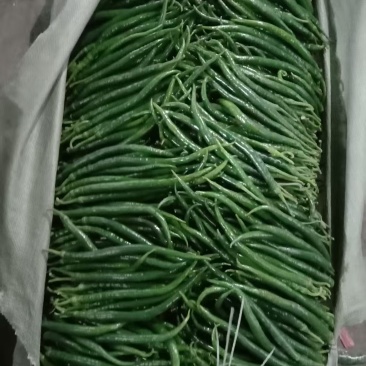 螺丝椒，线椒，尖椒，品质保证，产地直发，价格优惠