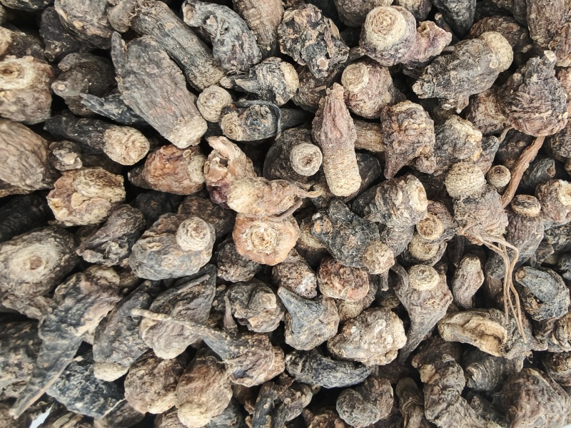 玛卡大量供应品质上乘支持视频看货欢迎下单品质保证