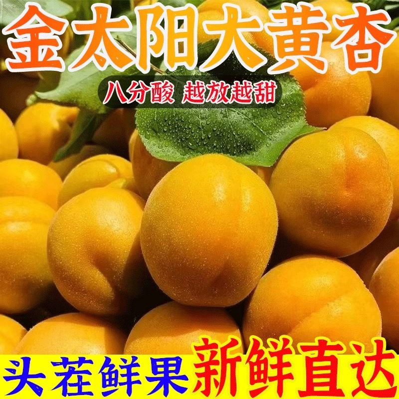杏，品质保证，价格优惠产地直发支持电商代发社区团购