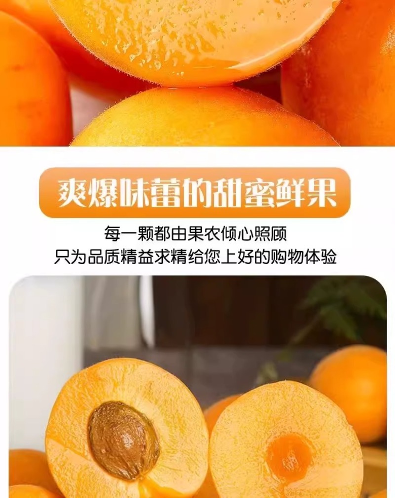 杏，品质保证，价格优惠产地直发支持电商代发社区团购