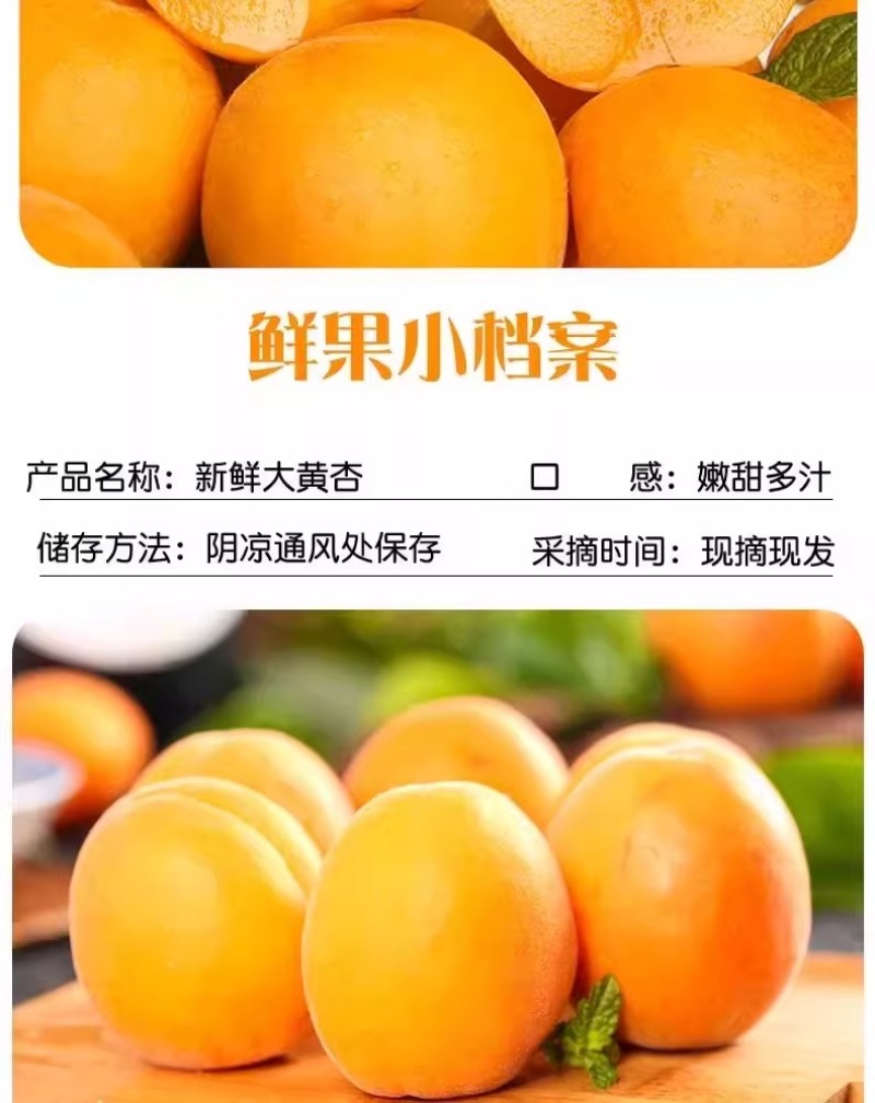 杏，品质保证，价格优惠产地直发支持电商代发社区团购