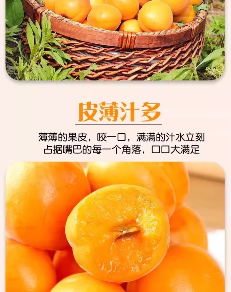 杏，品质保证，价格优惠产地直发支持电商代发社区团购