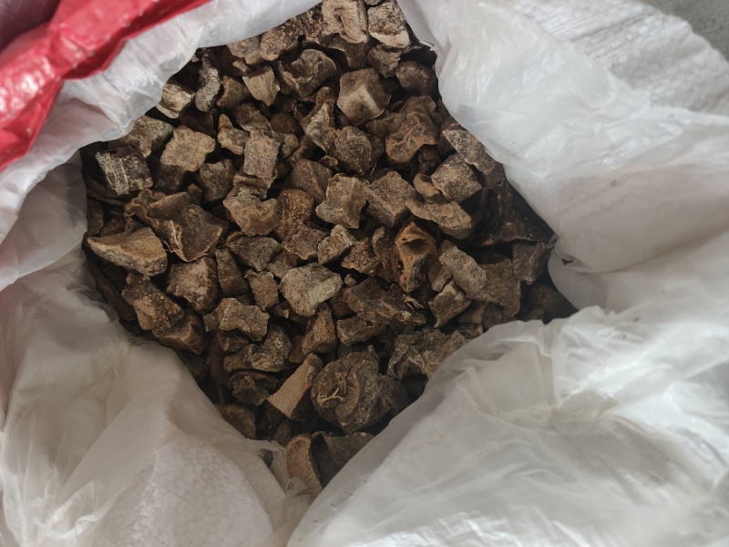 野生山乌龟大量供货品质保证支持视频看货欢迎来电谈