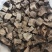 野生山乌龟大量供货品质保证支持视频看货欢迎来电谈