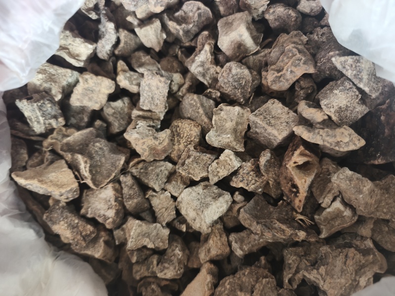 野生山乌龟大量供货品质保证支持视频看货欢迎来电谈