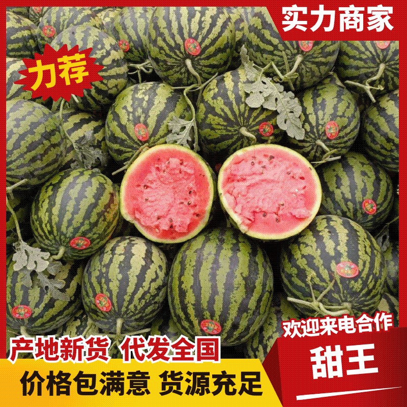 甜王西瓜，陕西甜王西瓜，产地直发，货源充足，速度联系