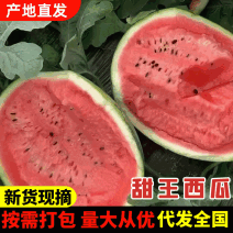 陕西蒲城甜王西瓜对接电商商超超市美团保质保量