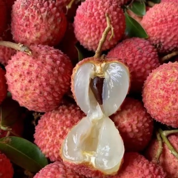 精品大荔枝，品质保证，产地直发，价格优惠，服务周到