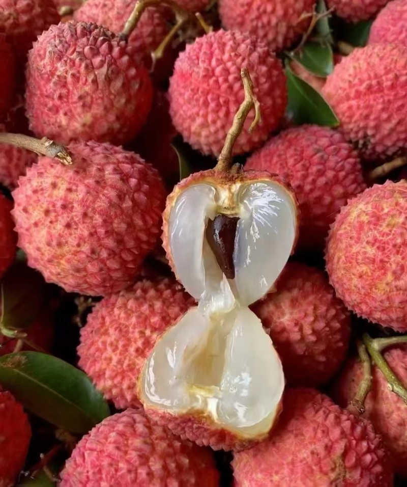 精品大荔枝，品质保证，产地直发，价格优惠，服务周到