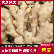 河北生姜产地批发大姜姜新姜老姜小黄姜保质保