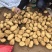 湖北襄阳沃土5号土豆一手货源，可视频看货对接商超电商