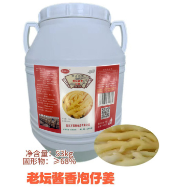 泡仔姜老坛老盐水泡足260天