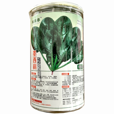 墨西科菠菜种子一代杂交耐寒抗病高产肉厚菠菜种籽春秋冬播