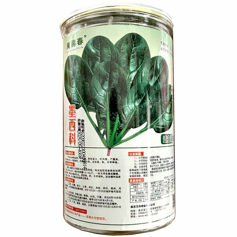 墨西科菠菜种子一代杂交耐寒抗病高产肉厚菠菜种籽春秋冬播