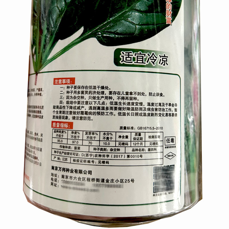墨西科菠菜种子一代杂交耐寒抗病高产肉厚菠菜种籽春秋冬播