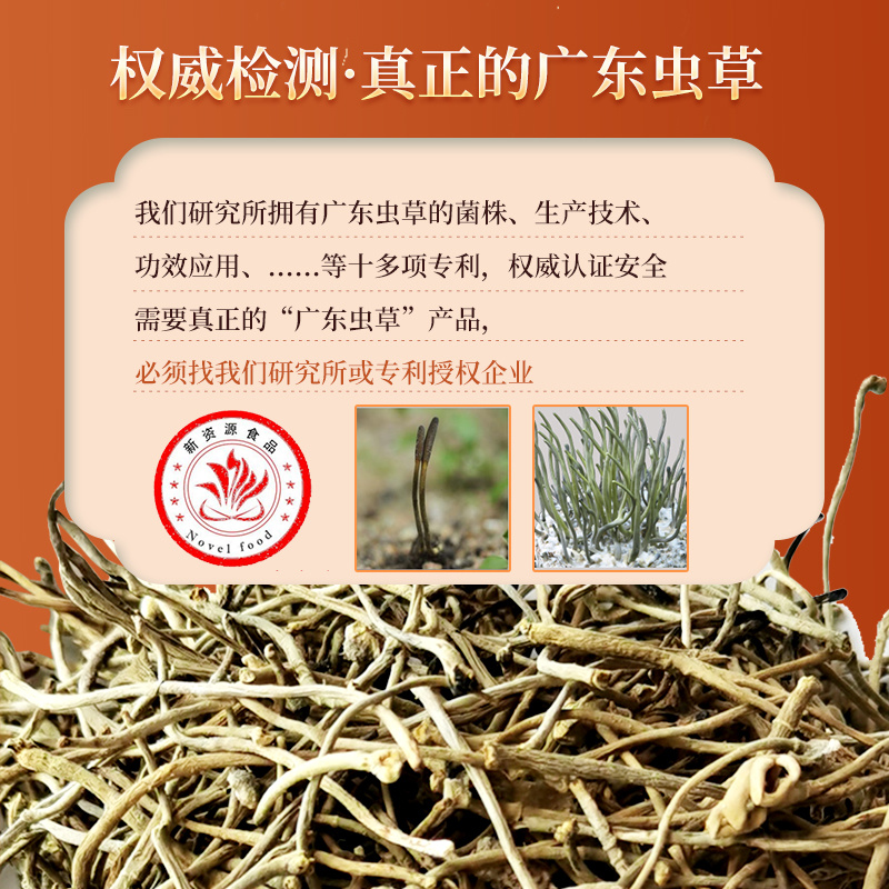 正宗广东虫草子实体厂家直销广东虫草破壁粉包邮