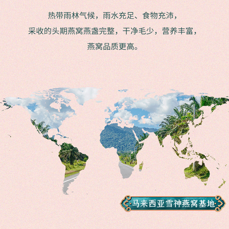 精品虫草雪耳燕窝现货速发电商微商直播产品定制包邮