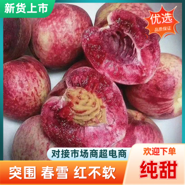 毛桃突围、春雪、红不软、口感纯甜大量供应电商市场商
