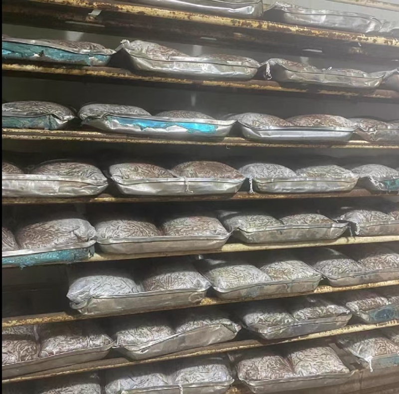 冰蚯蚓（青蚯蚓），产地直发，品质保证，现挖现发，基地养殖